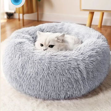 Transform Their Rest Into Unmatched Comfort